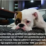 Hotel Balcón De Europa