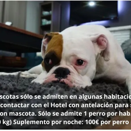 호텔 발콘 데 유로파