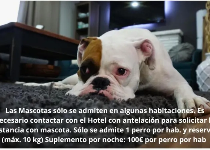 Готель Balcon De Europa